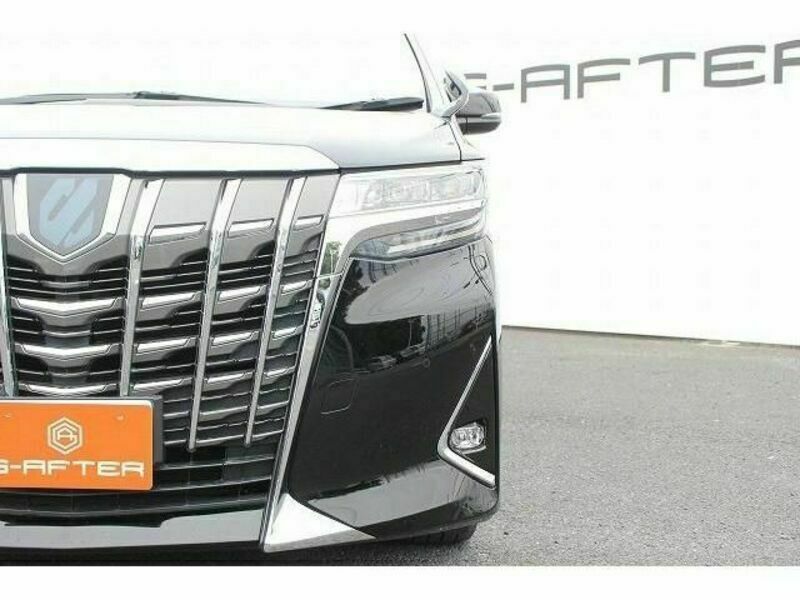 ALPHARD-11