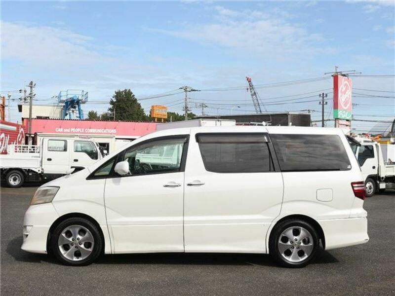 ALPHARD-13