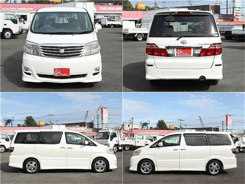 ALPHARD-49