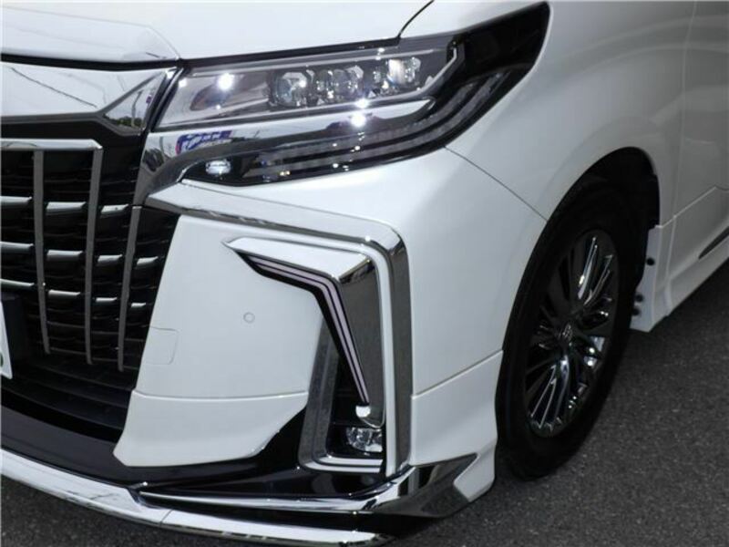 ALPHARD-35