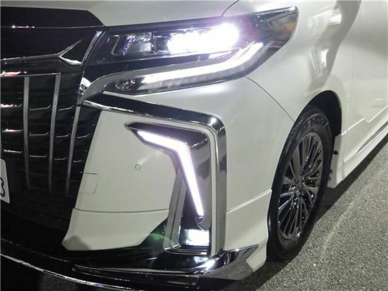 ALPHARD-36