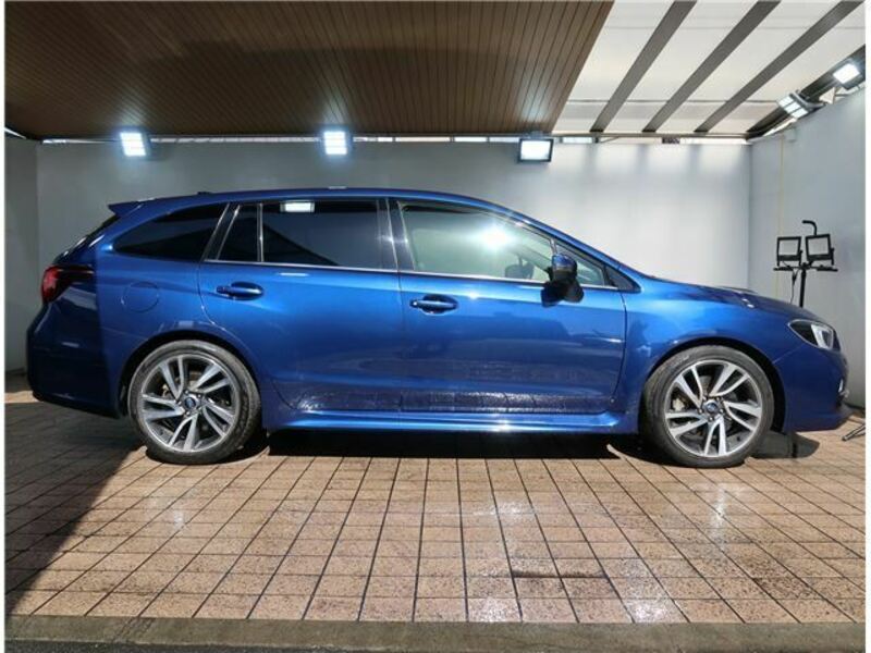 LEVORG-6