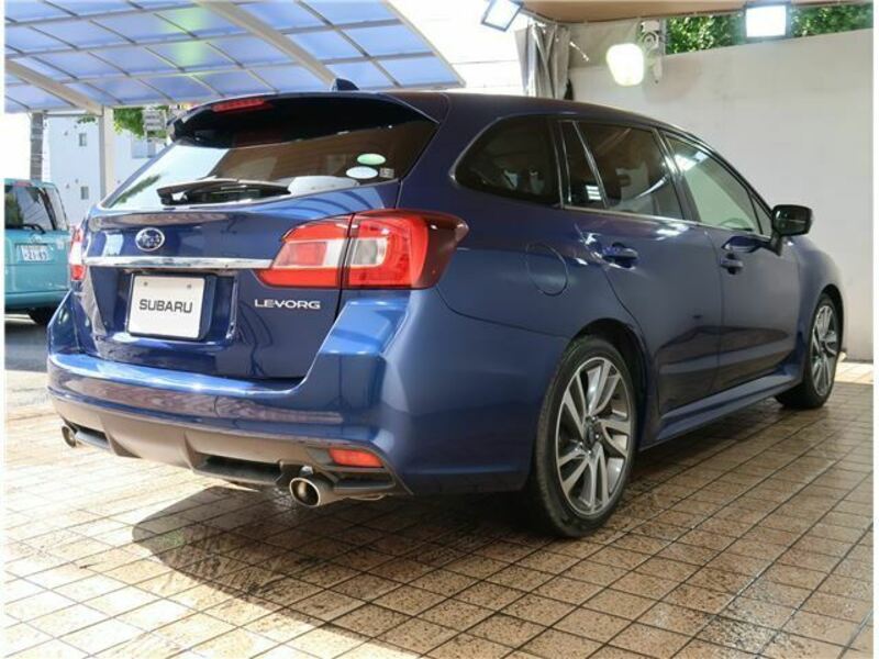 LEVORG-35