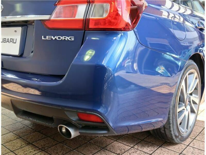 LEVORG-41