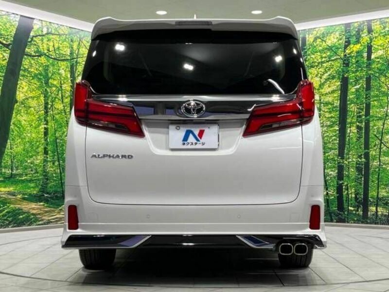 ALPHARD-16