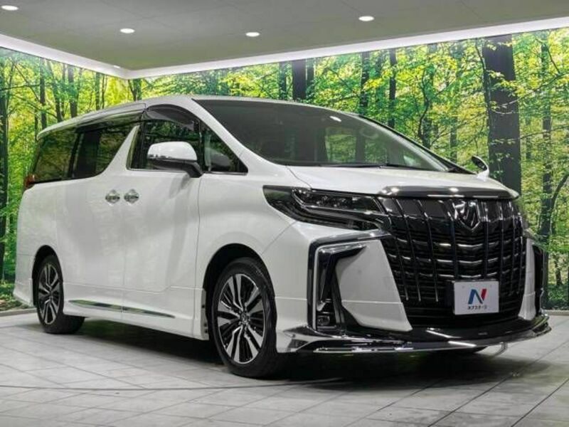 ALPHARD-17