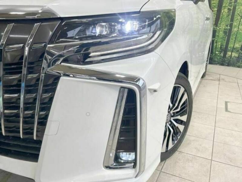 ALPHARD-13