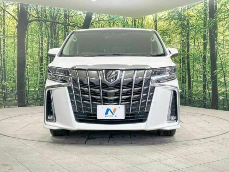 ALPHARD-15