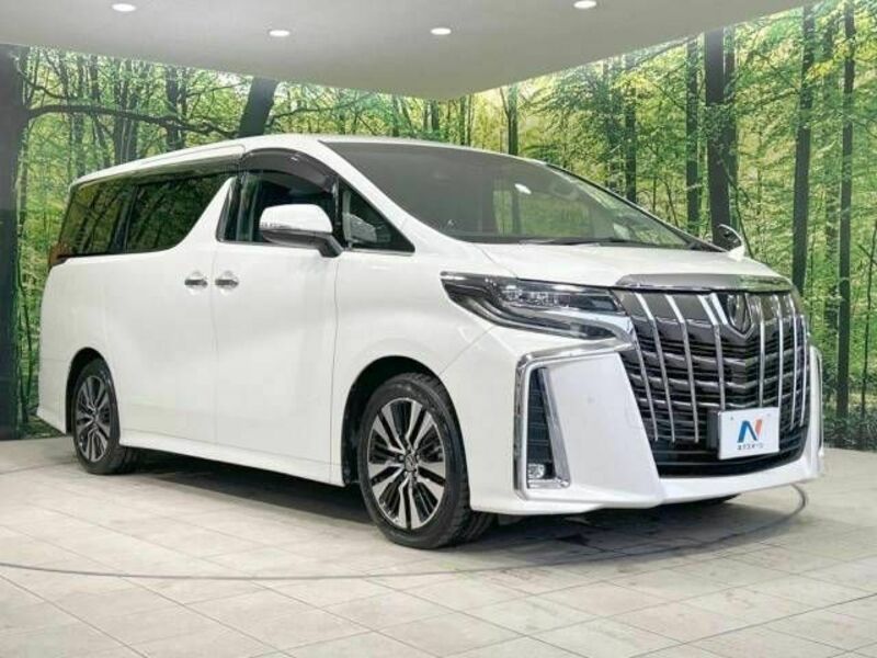 ALPHARD-17