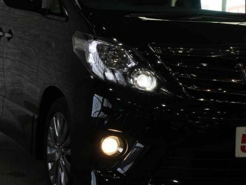 ALPHARD-14