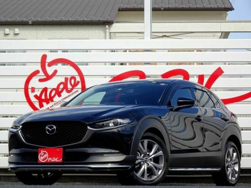 CX-30