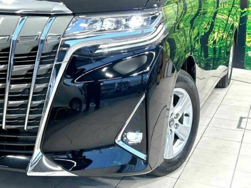 ALPHARD-13