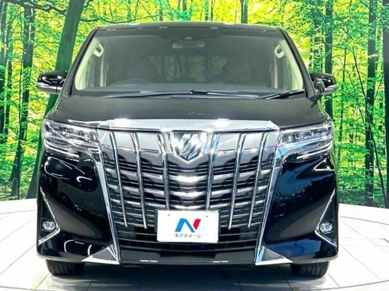 ALPHARD-15