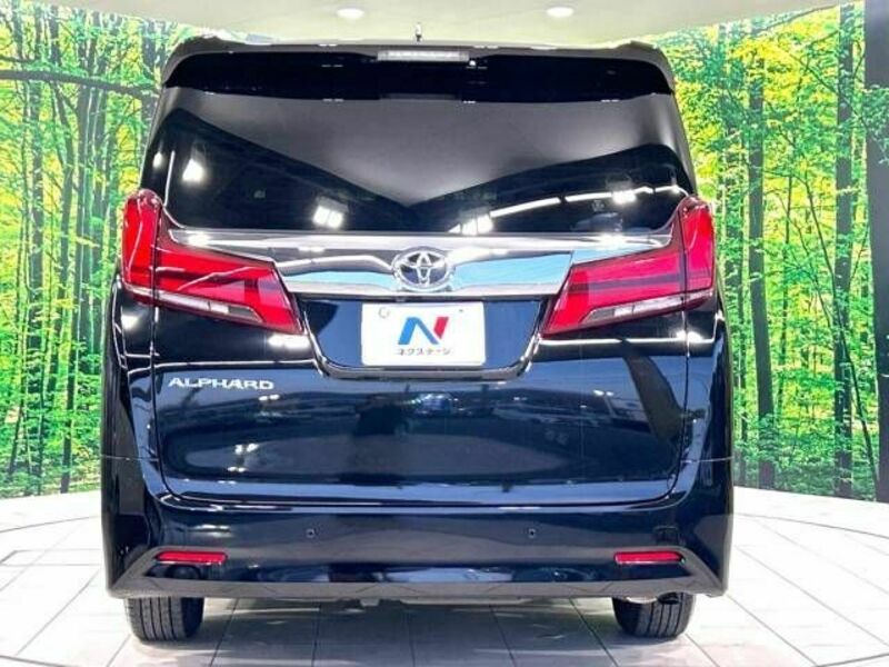 ALPHARD-16