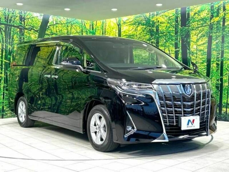 ALPHARD-17