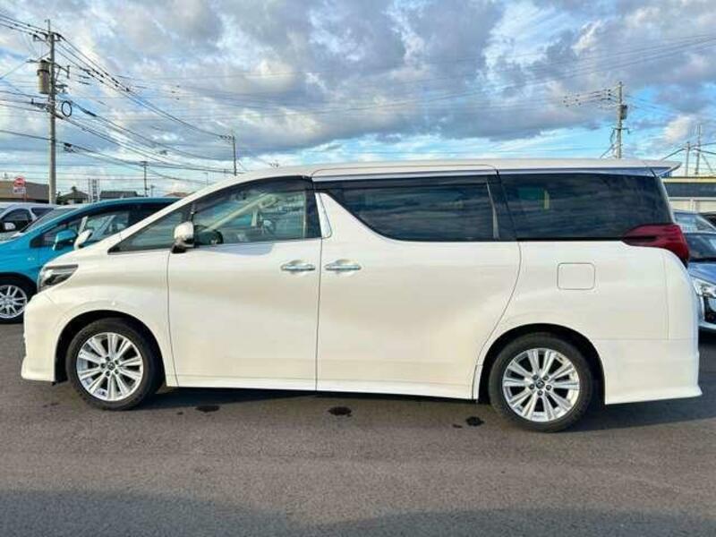 ALPHARD-10