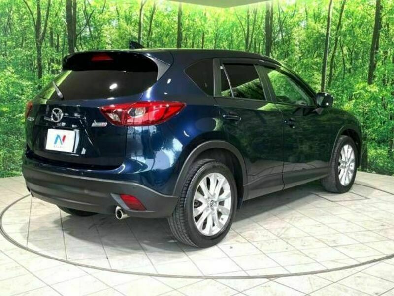 CX-5-18