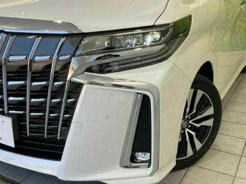 ALPHARD-16