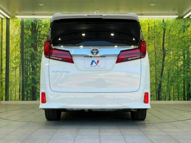 ALPHARD-19