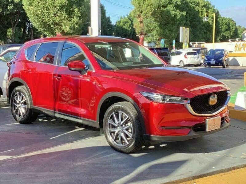 CX-5-6