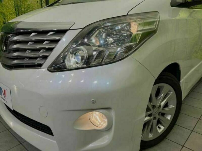 ALPHARD-13