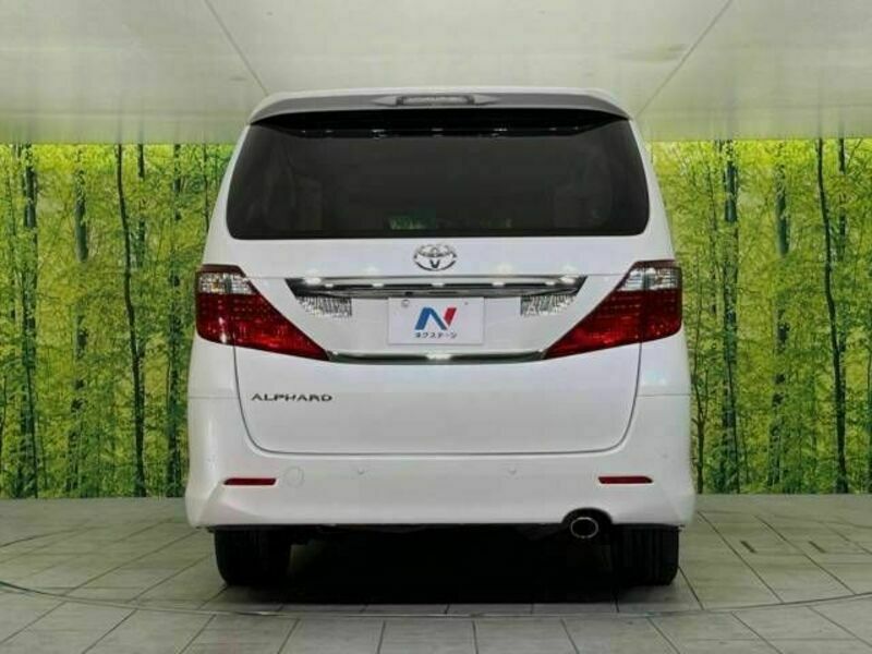 ALPHARD-16