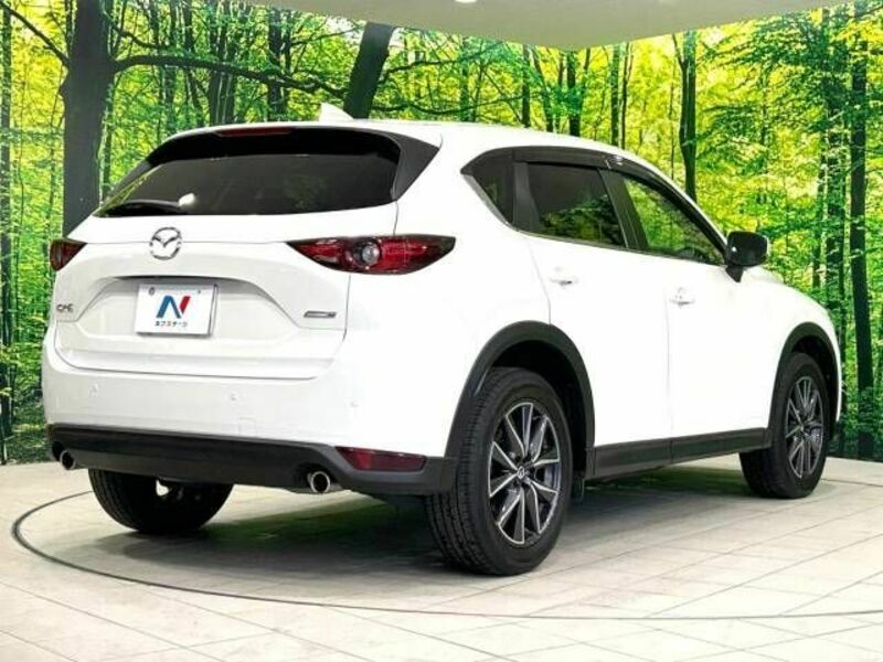 CX-5-17