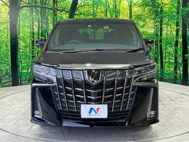 ALPHARD-16