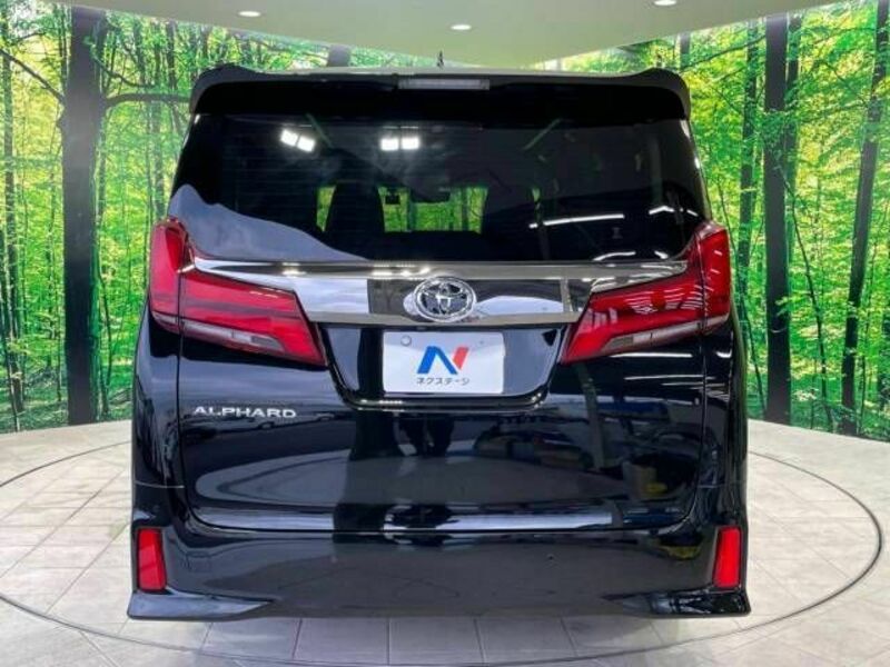 ALPHARD-17