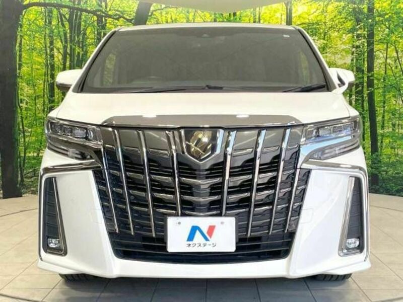 ALPHARD-16