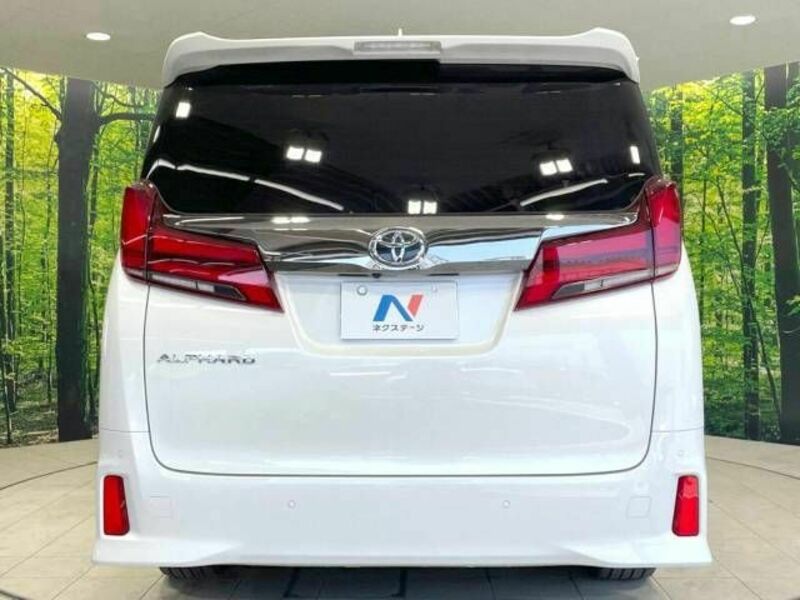 ALPHARD-17