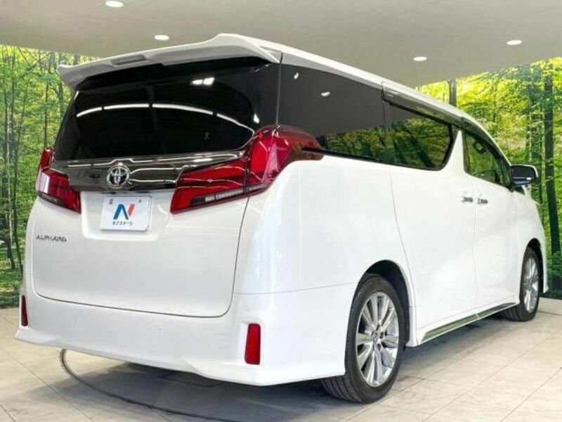 ALPHARD-19