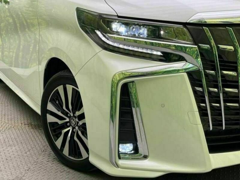 ALPHARD-12