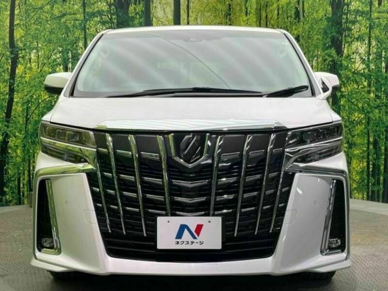 ALPHARD-14