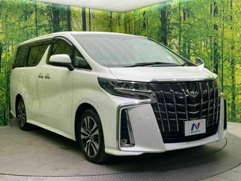 ALPHARD-16