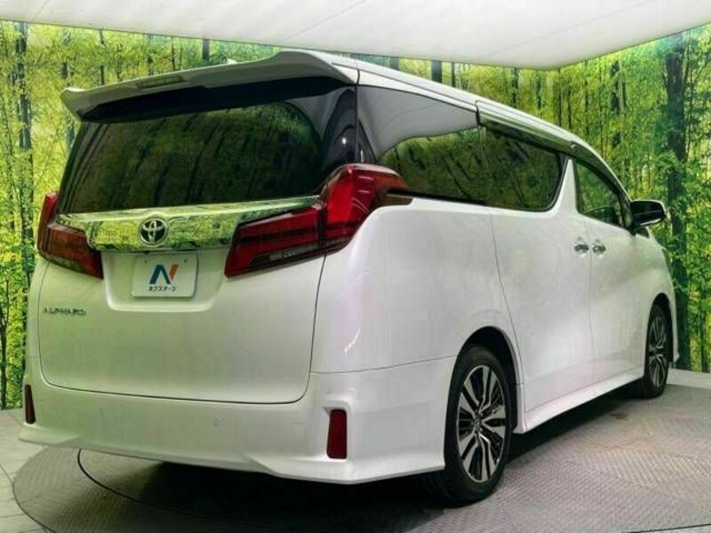 ALPHARD-17