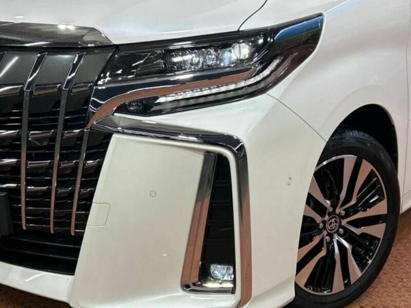 ALPHARD-13