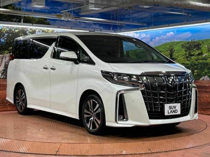 ALPHARD-17