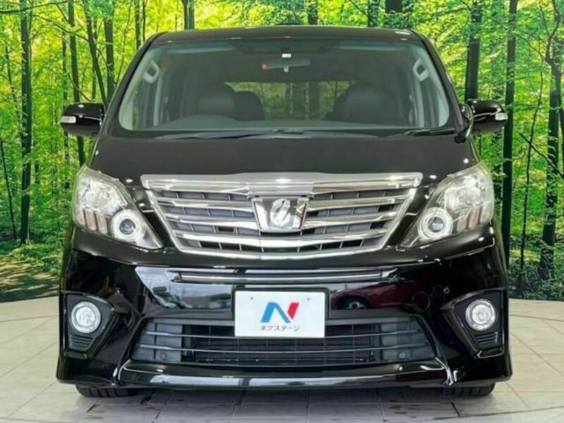 ALPHARD-15