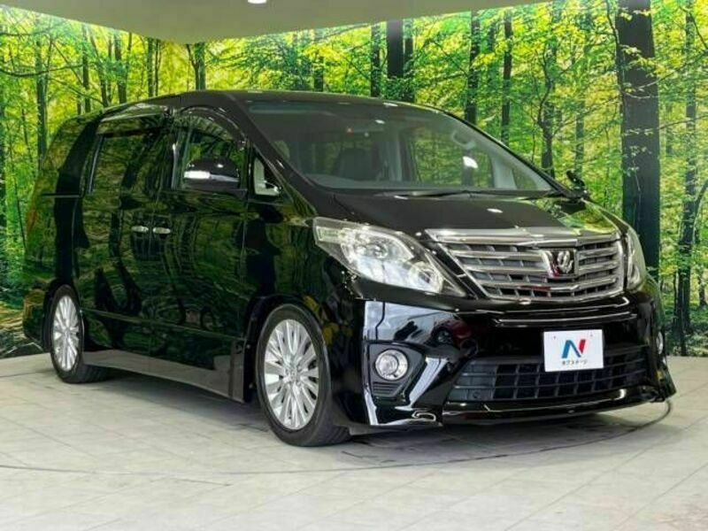 ALPHARD-17