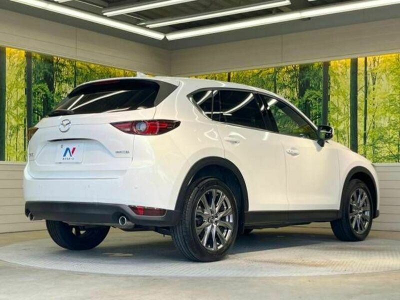 CX-5-17