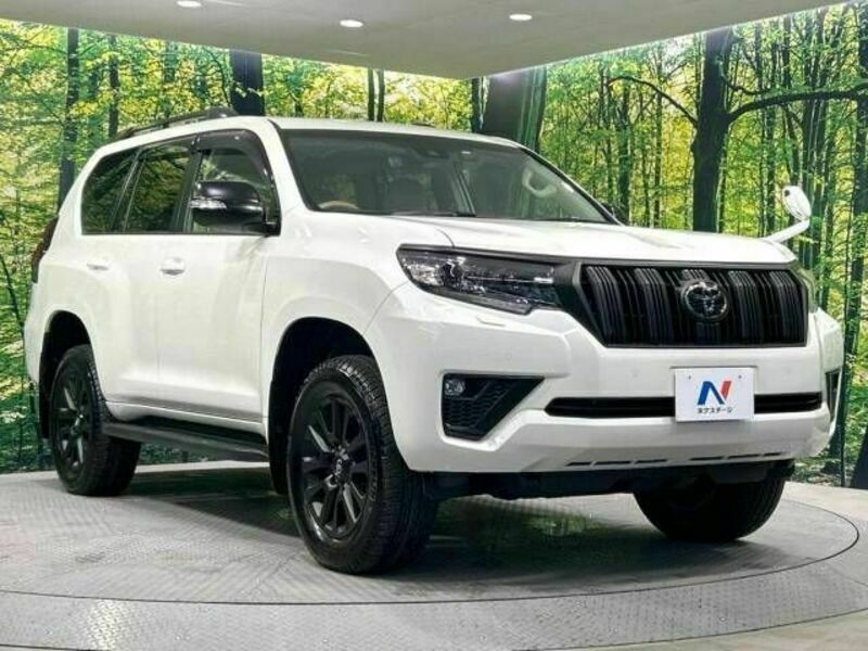 LAND CRUISER PRADO-17