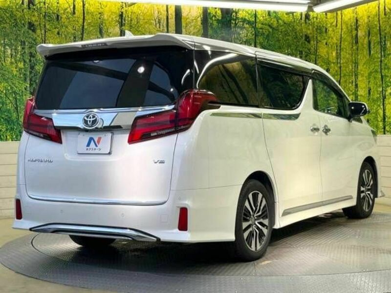 ALPHARD-17