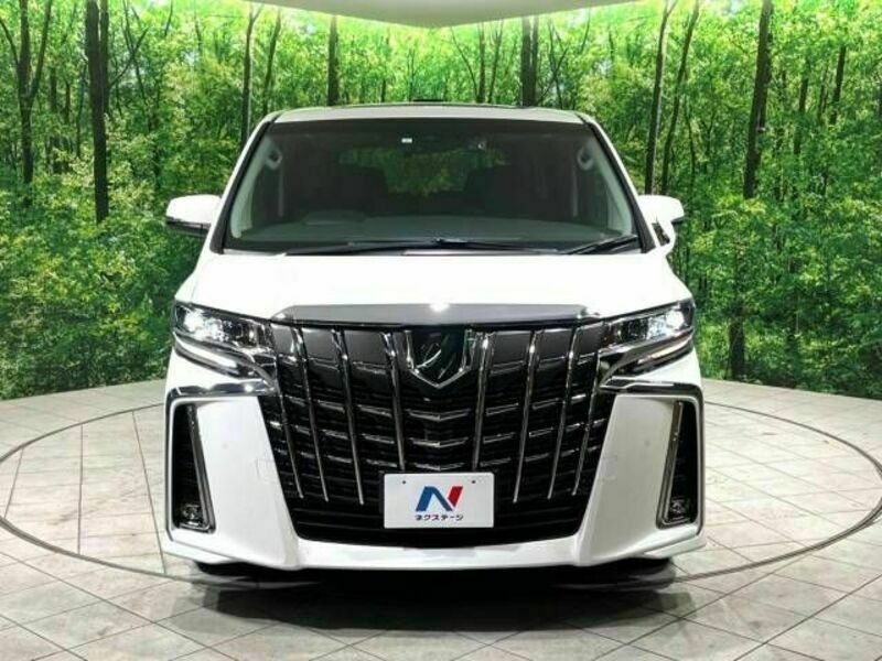 ALPHARD-16