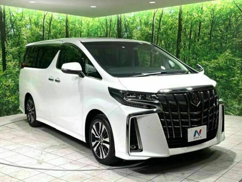 ALPHARD-18