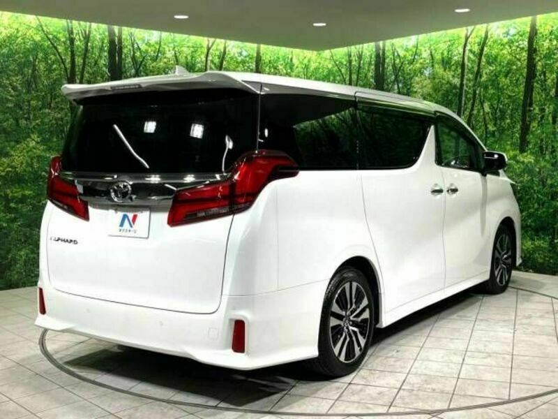 ALPHARD-19