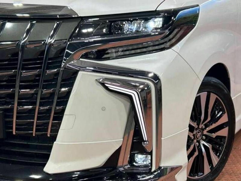 ALPHARD-12