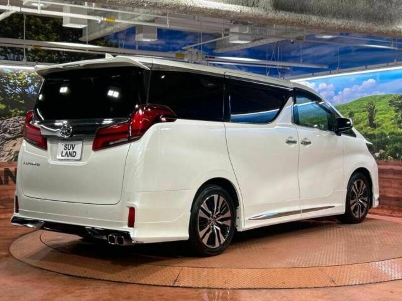 ALPHARD-17