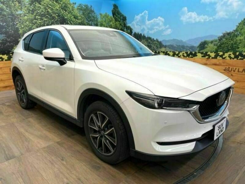 CX-5-16