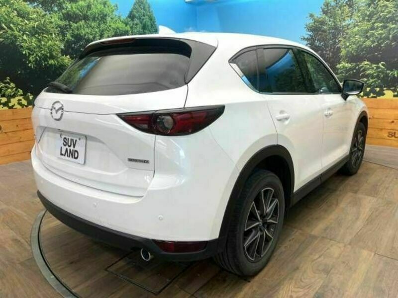 CX-5-17